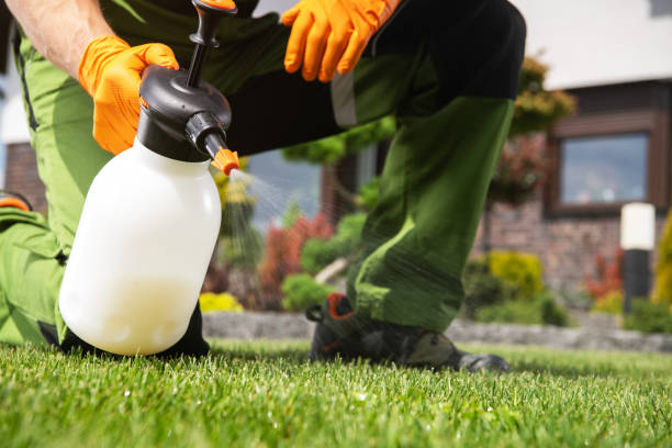 Best Local Pest Control Services  in Lansing, MI