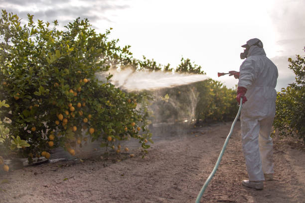 Best Pest Control Near Me  in Lansing, MI