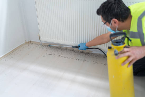 Best Affordable Pest Control Services  in Lansing, MI